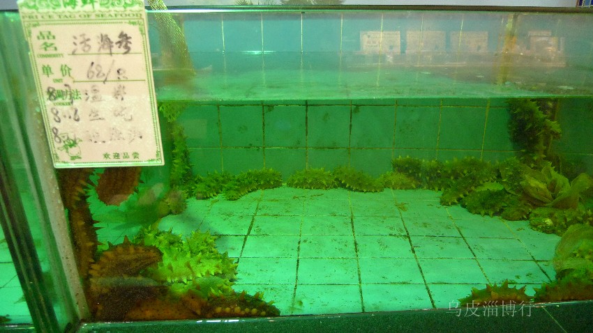 211.jpg