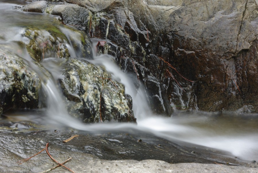 IMGP0801.jpg