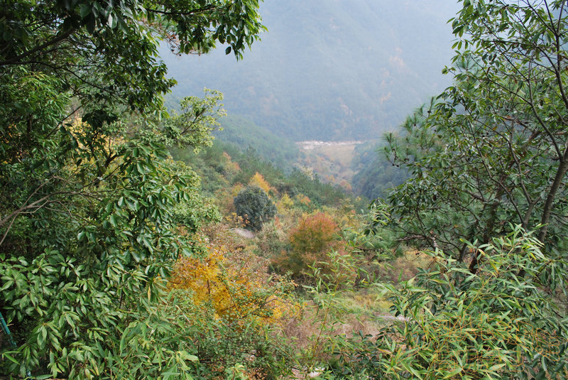 高明景色 (18).jpg