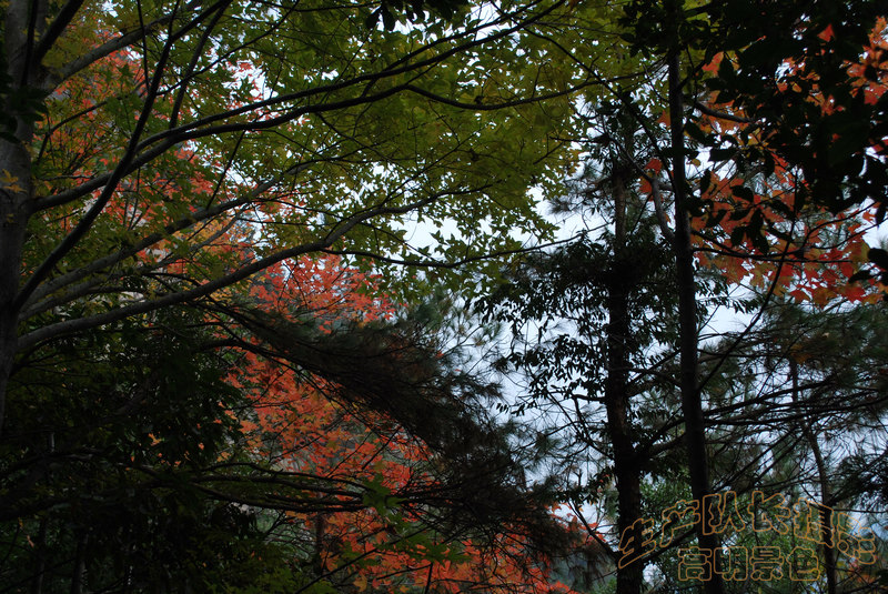 高明景色 (15).jpg