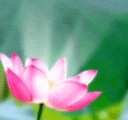 2010070210232208.gif