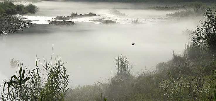 _DSC9184.jpg