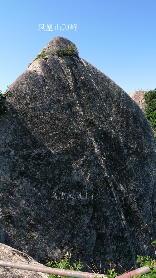 853.jpg