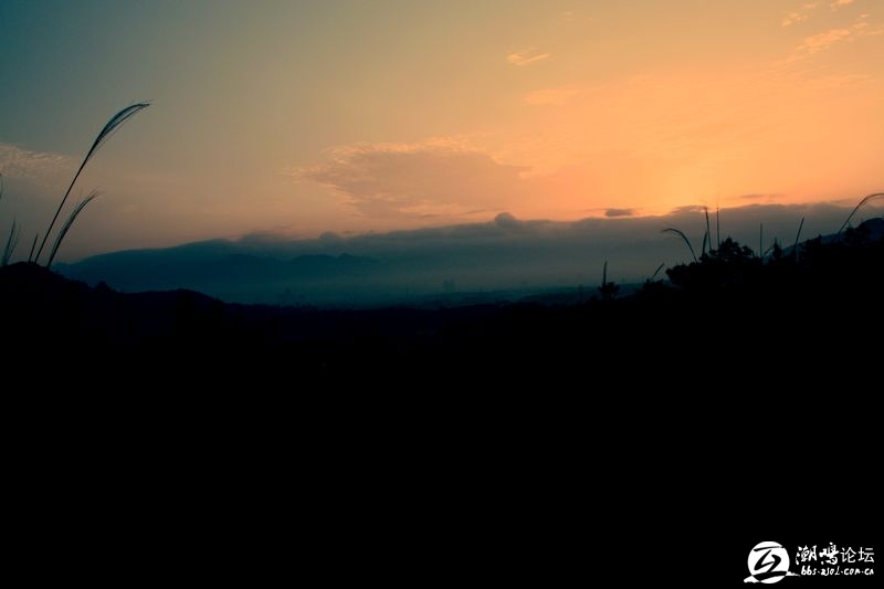1007021727b5f0b8bc3b5594cc.jpg