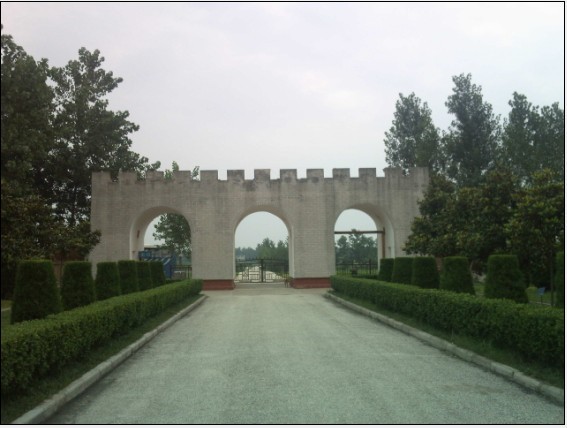 未命名33.jpg