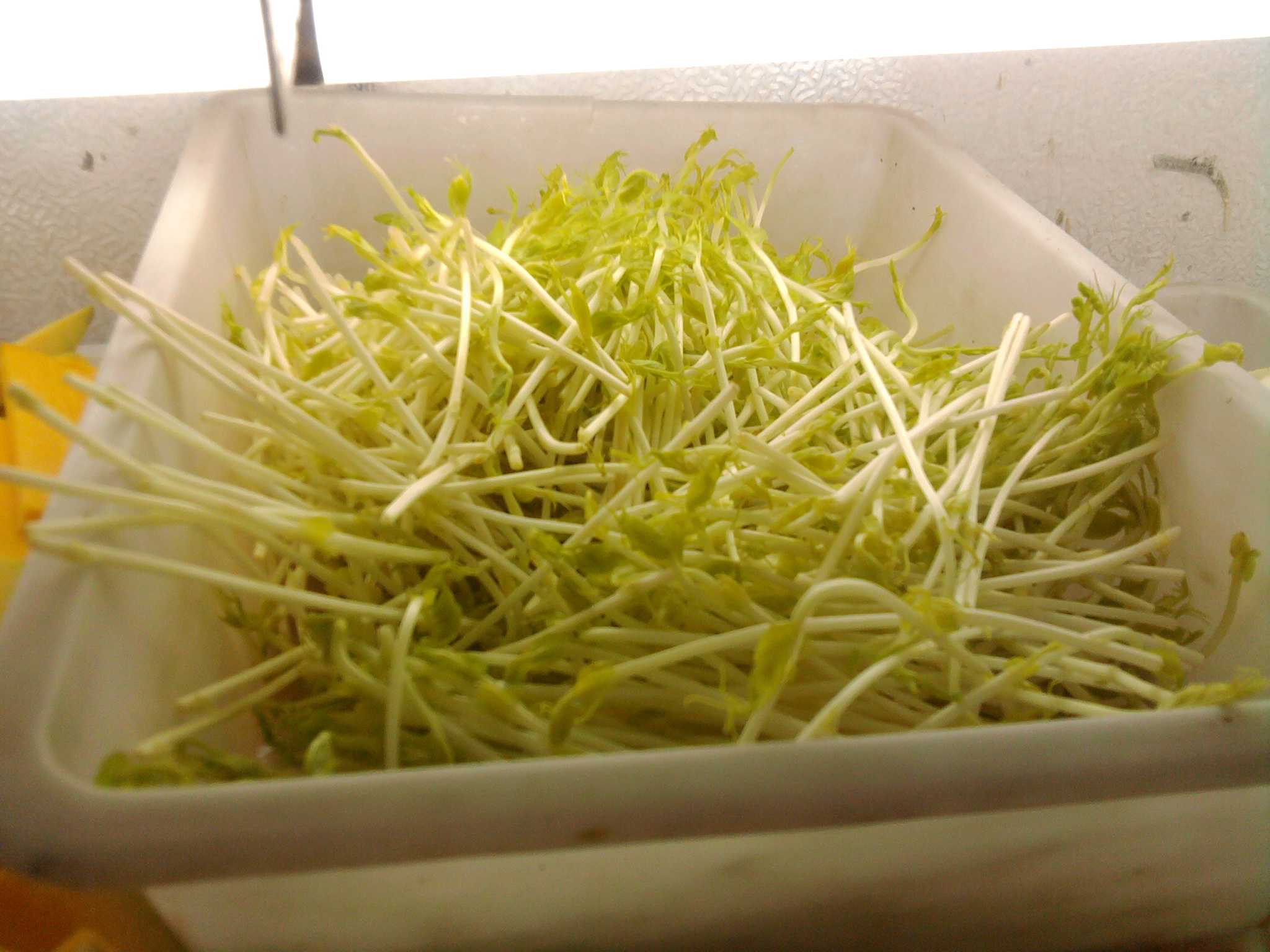 照片0594.jpg