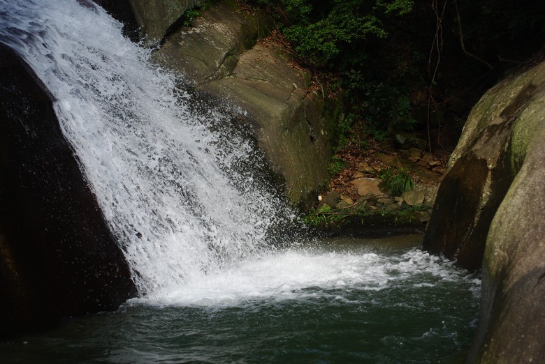 IMGP7716.jpg