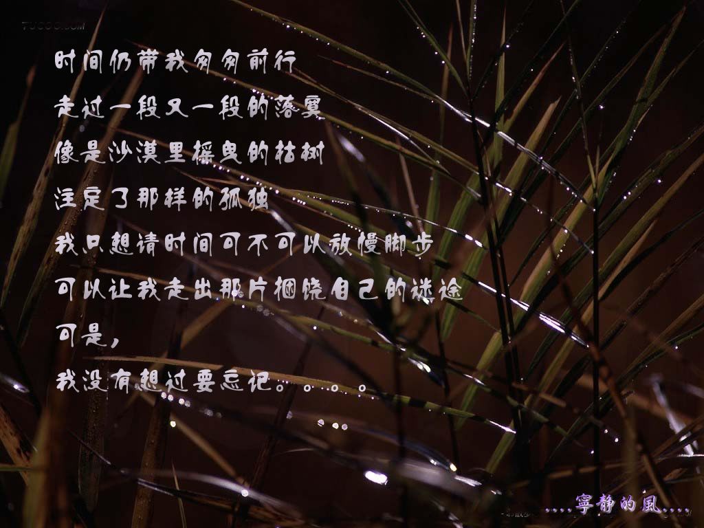 迷途.jpg