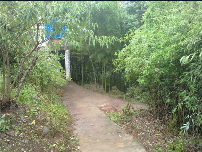 未命名.jpg