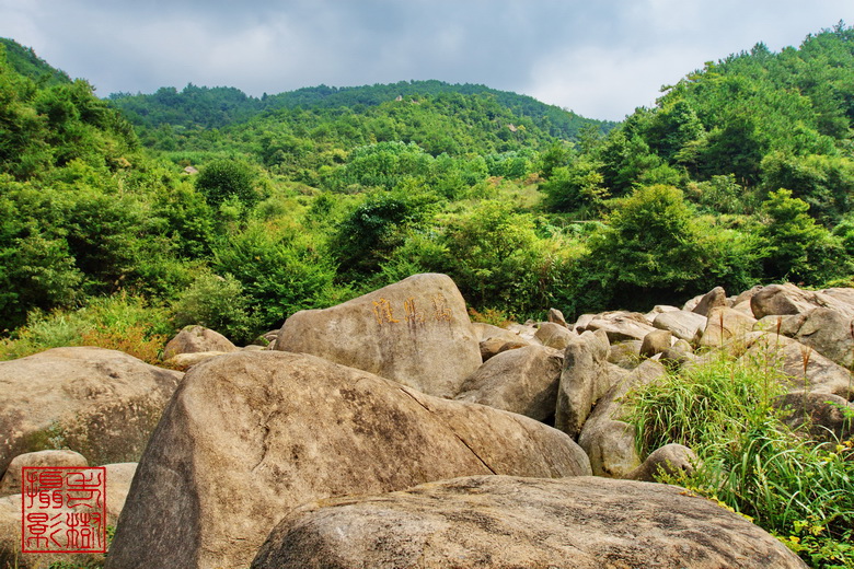 IMG_2695_调整大小.jpg
