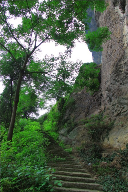 未命名.jpg