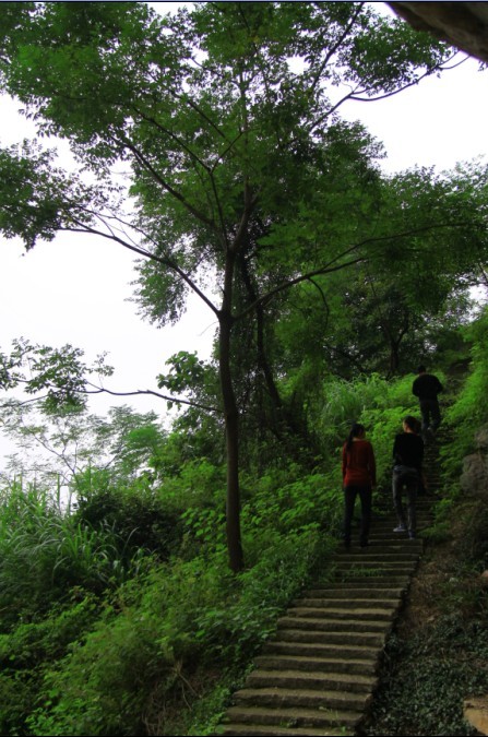 未命名.jpg