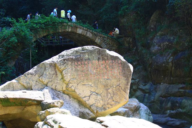 照片 463.jpg