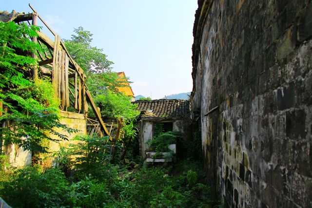 照片 180.jpg