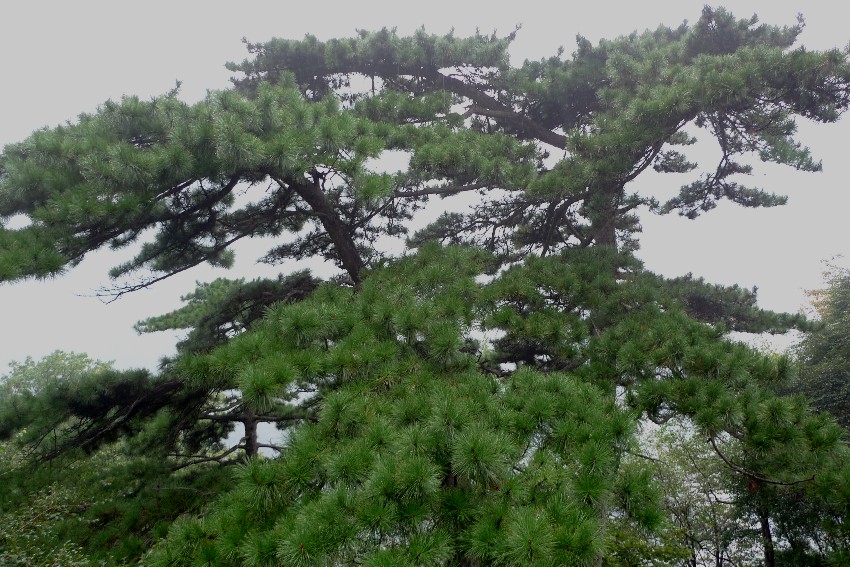 p1060386_副本.jpg