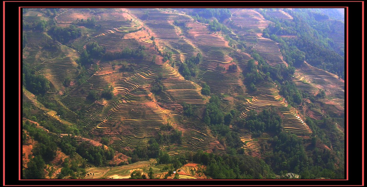 DSCN6909.jpg