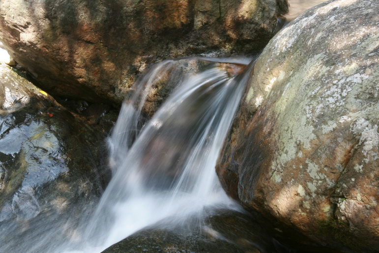 IMG_4101_调整大小.JPG