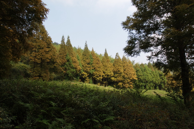 IMG_4141_调整大小.jpg