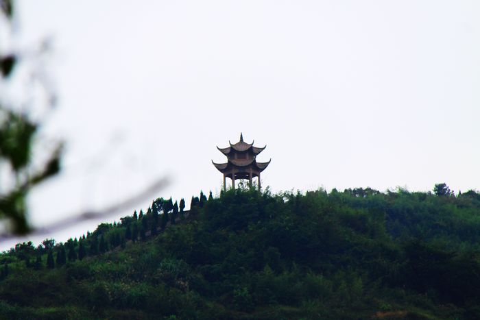 照片 072.jpg
