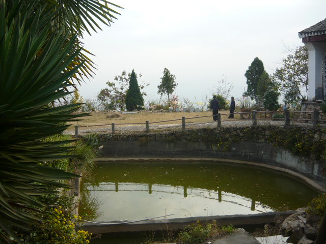 P1040845.JPG