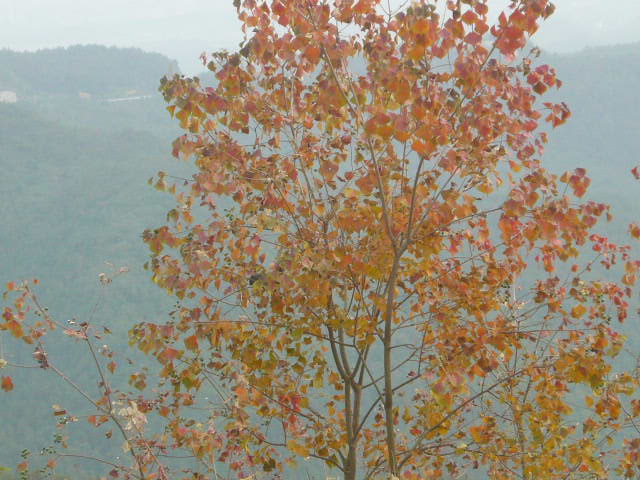 P1040852.JPG