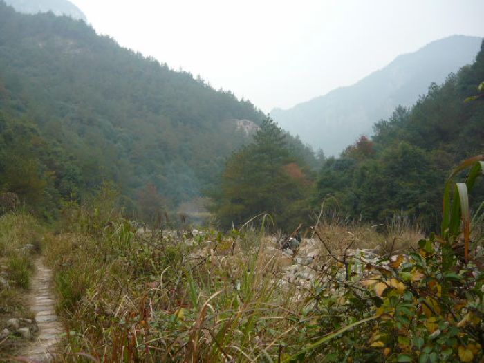 P1040894.JPG