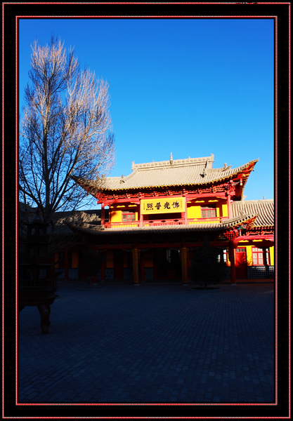 nEO_IMG_DPP_0083.jpg