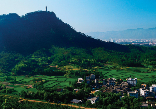塔后.jpg