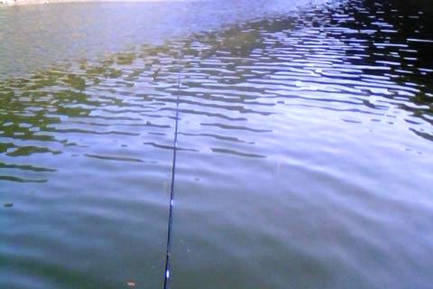 IMG0028A.jpg