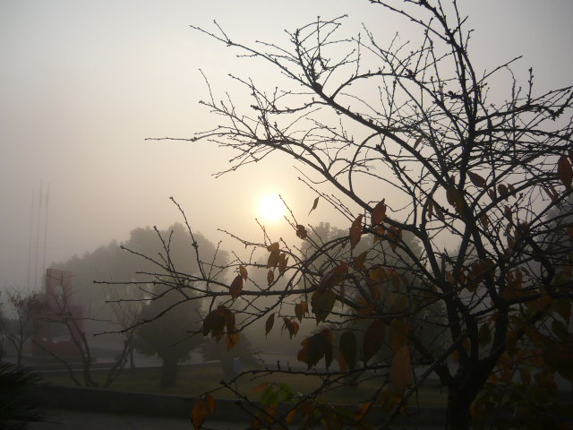 P1050035.JPG