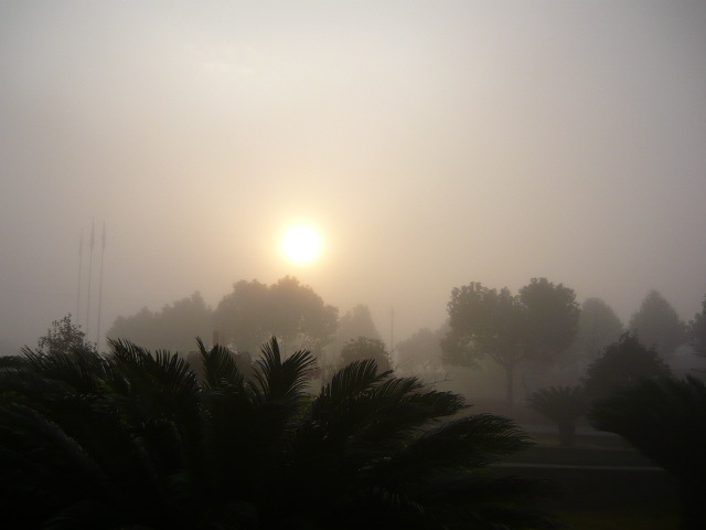 P1050034.JPG