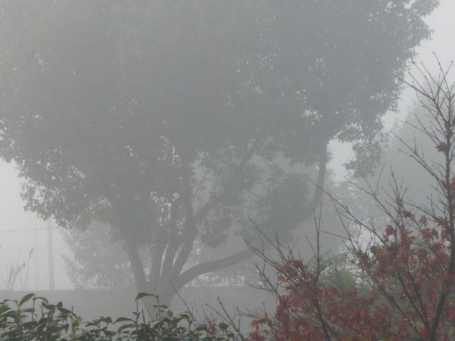 P1050038.JPG