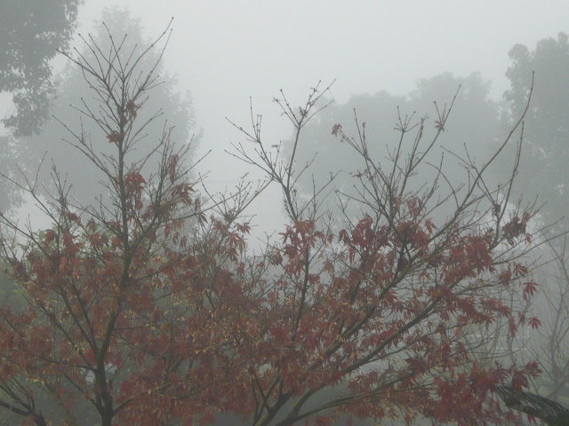 P1050037.JPG
