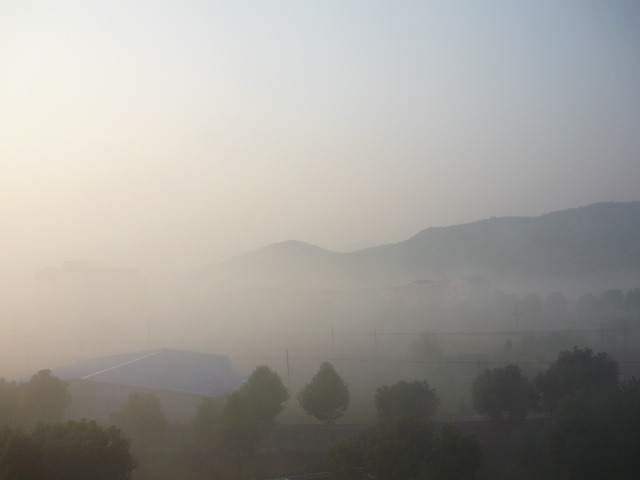 P1050040.JPG
