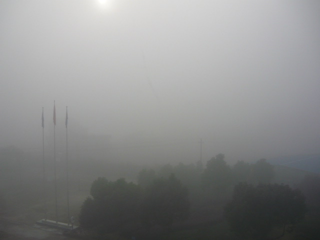 P1040916.JPG