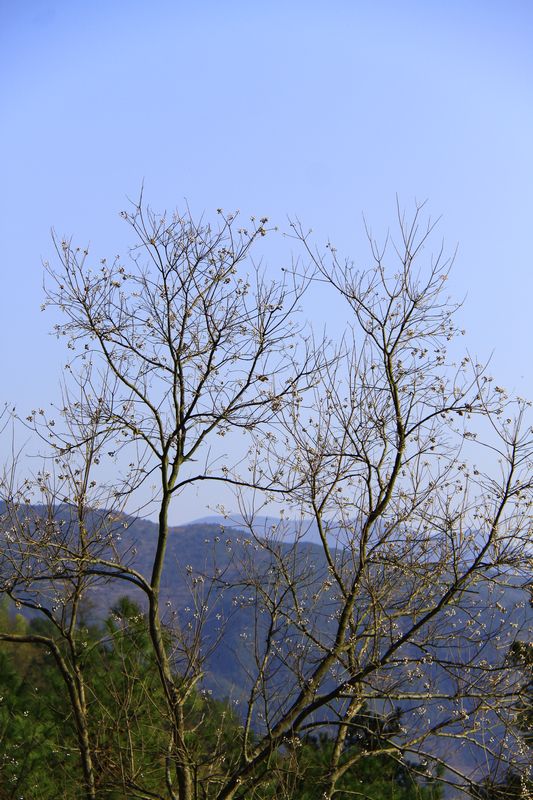 照片 387.jpg