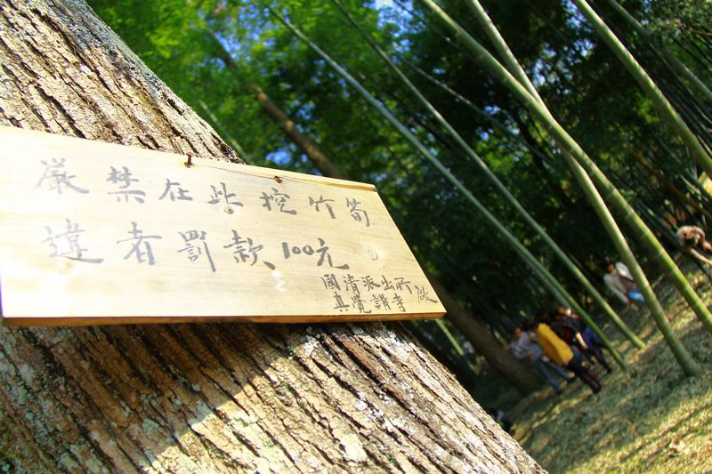 照片 428.jpg
