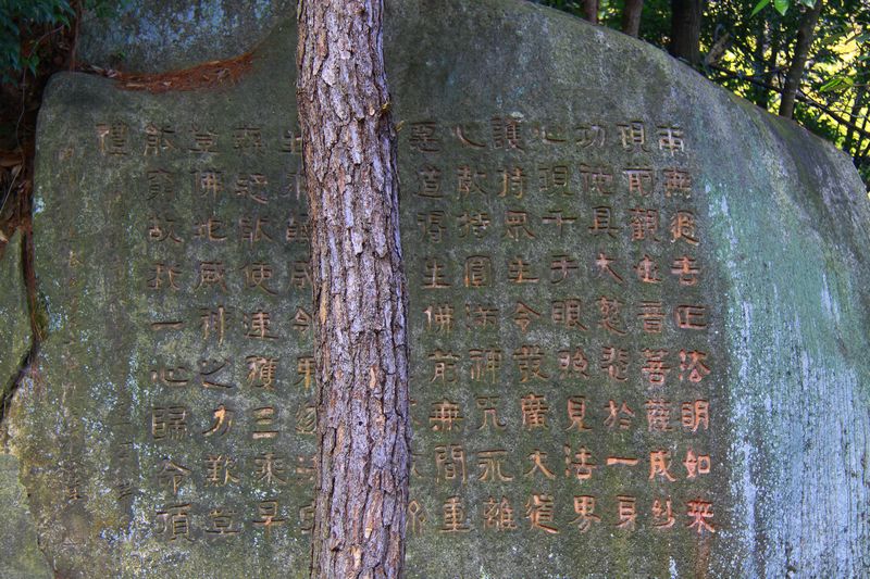 照片 484.jpg