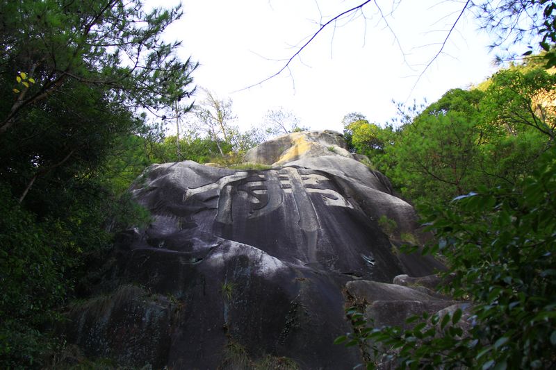 照片 495.jpg