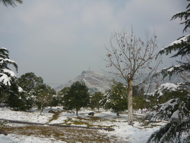 P1050067.JPG