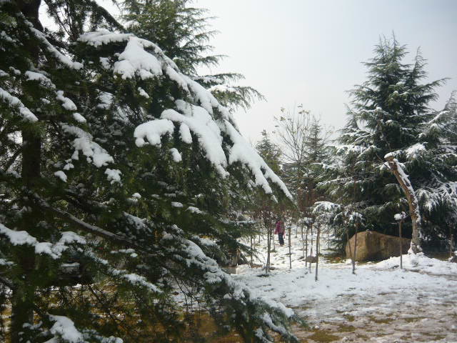 P1050070.JPG