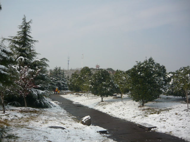 P1050074.JPG