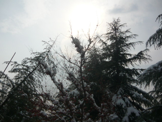 P1050082.JPG