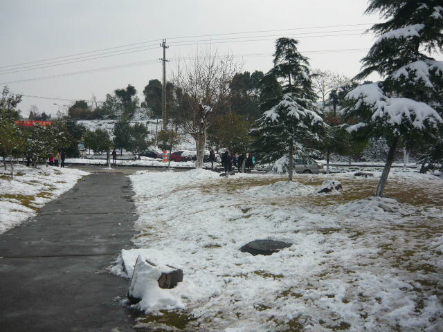 P1050083.JPG