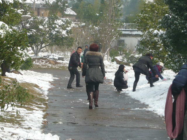 P1050087.JPG