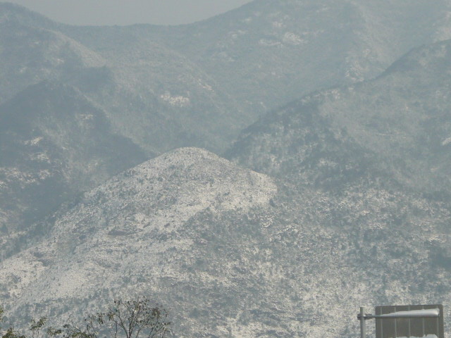 P1050093.JPG