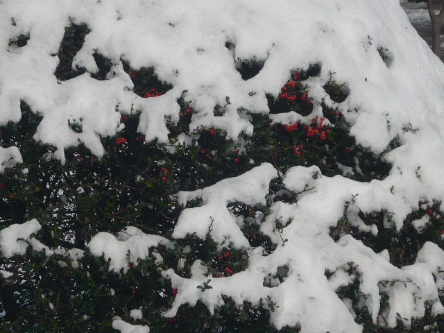P1050098.JPG