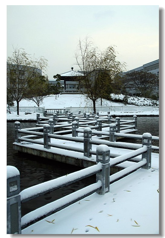 雪景-1.jpg