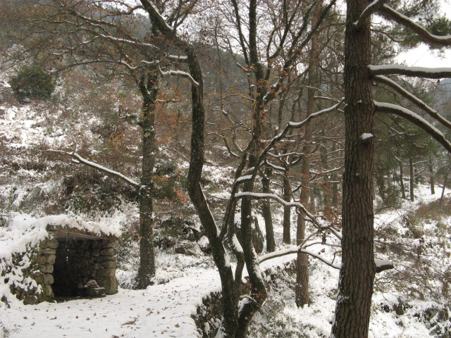 IMG_0869.JPG