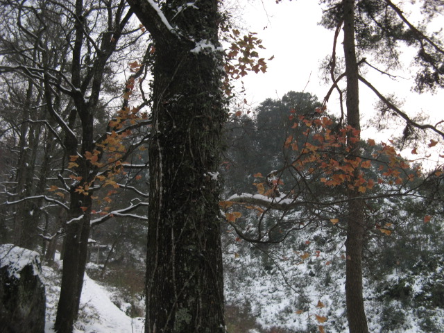 IMG_0912.JPG
